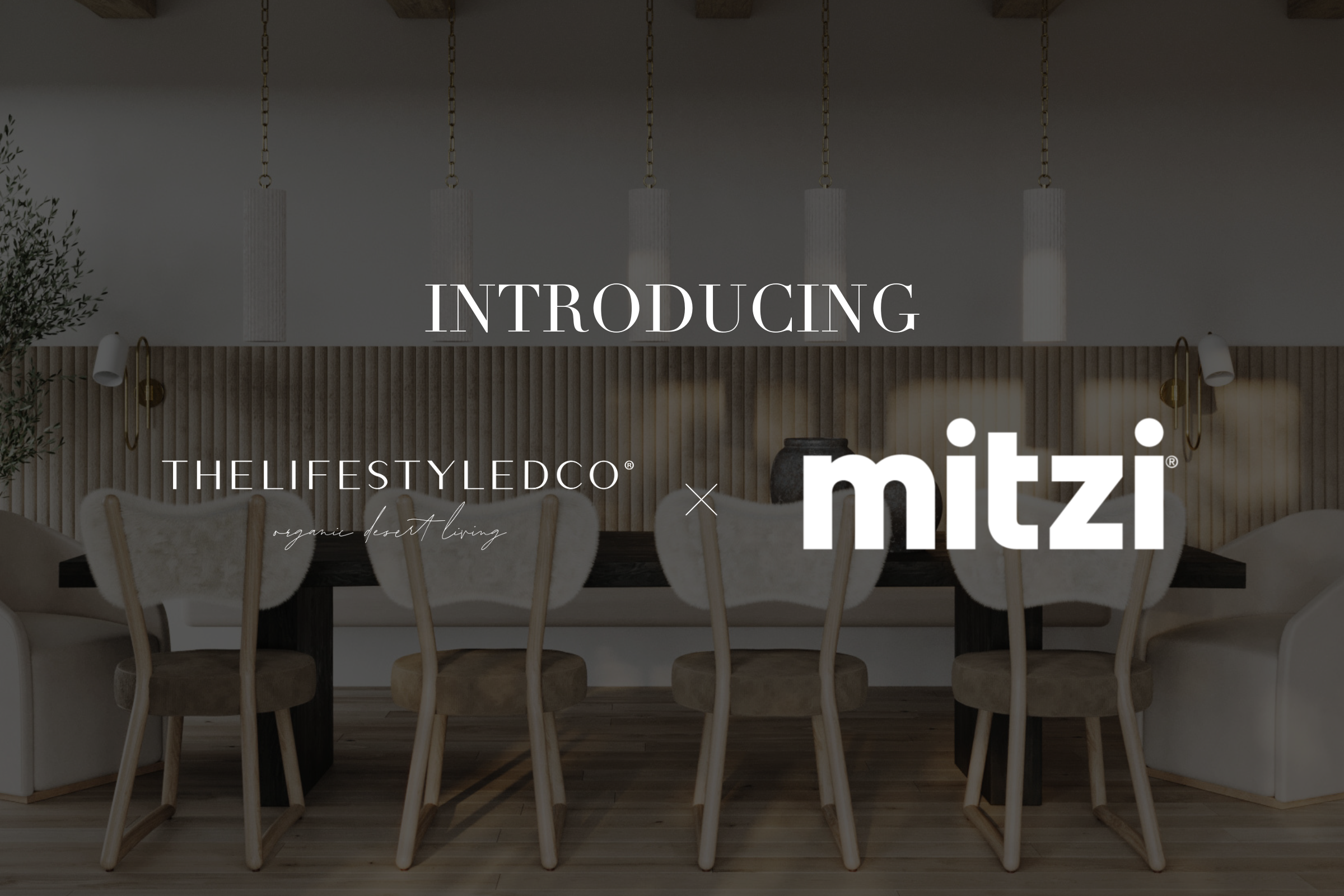 Introducing THELIFESTYLEDCO® x Mitzi