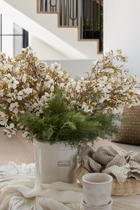 Asparagus Fern Spray - 23.5