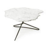 Pinera Coffee Table