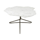 Pinera Coffee Table