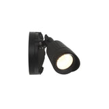 LED Double Flood Light