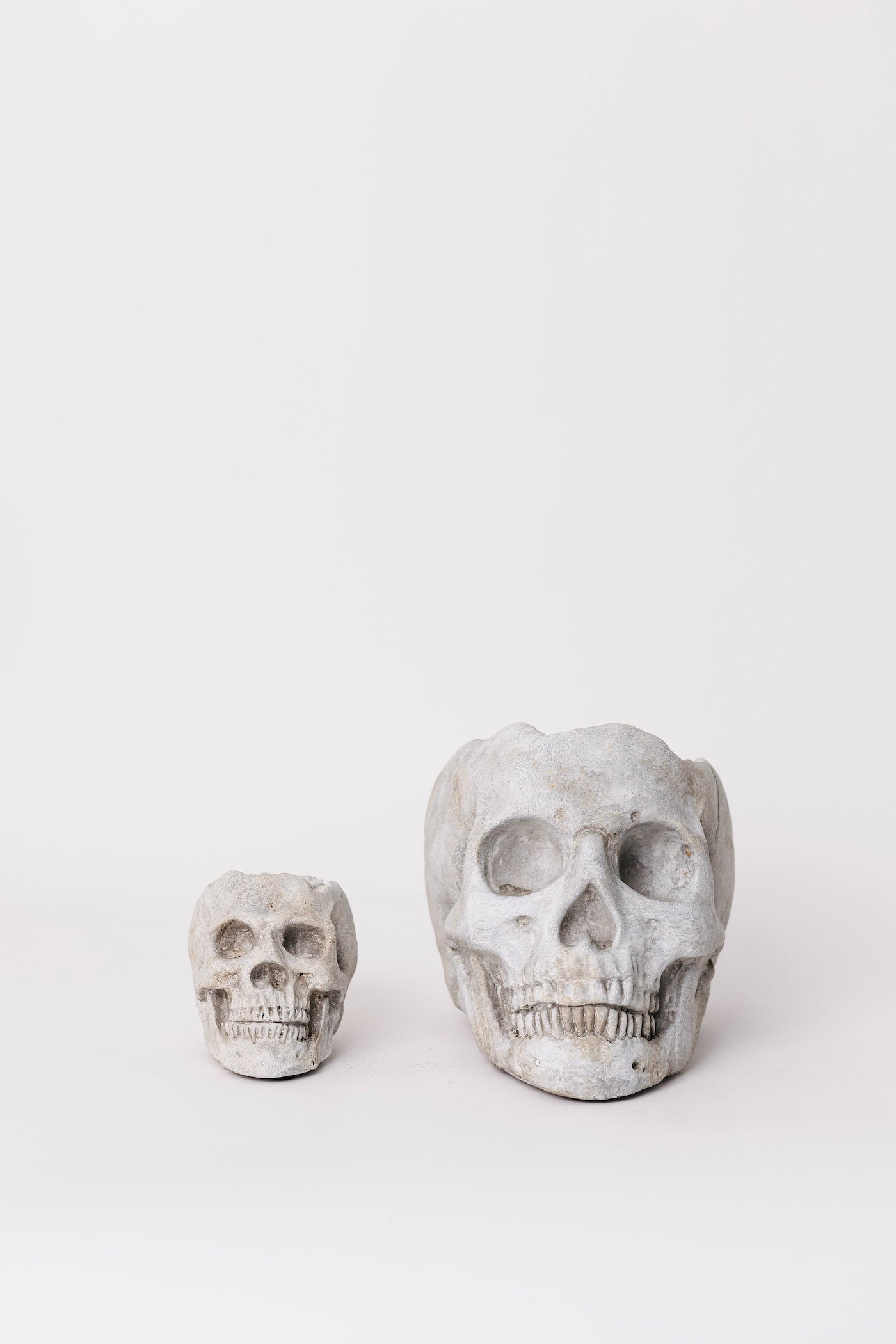 Midnight Skull Planter - 2 Sizes