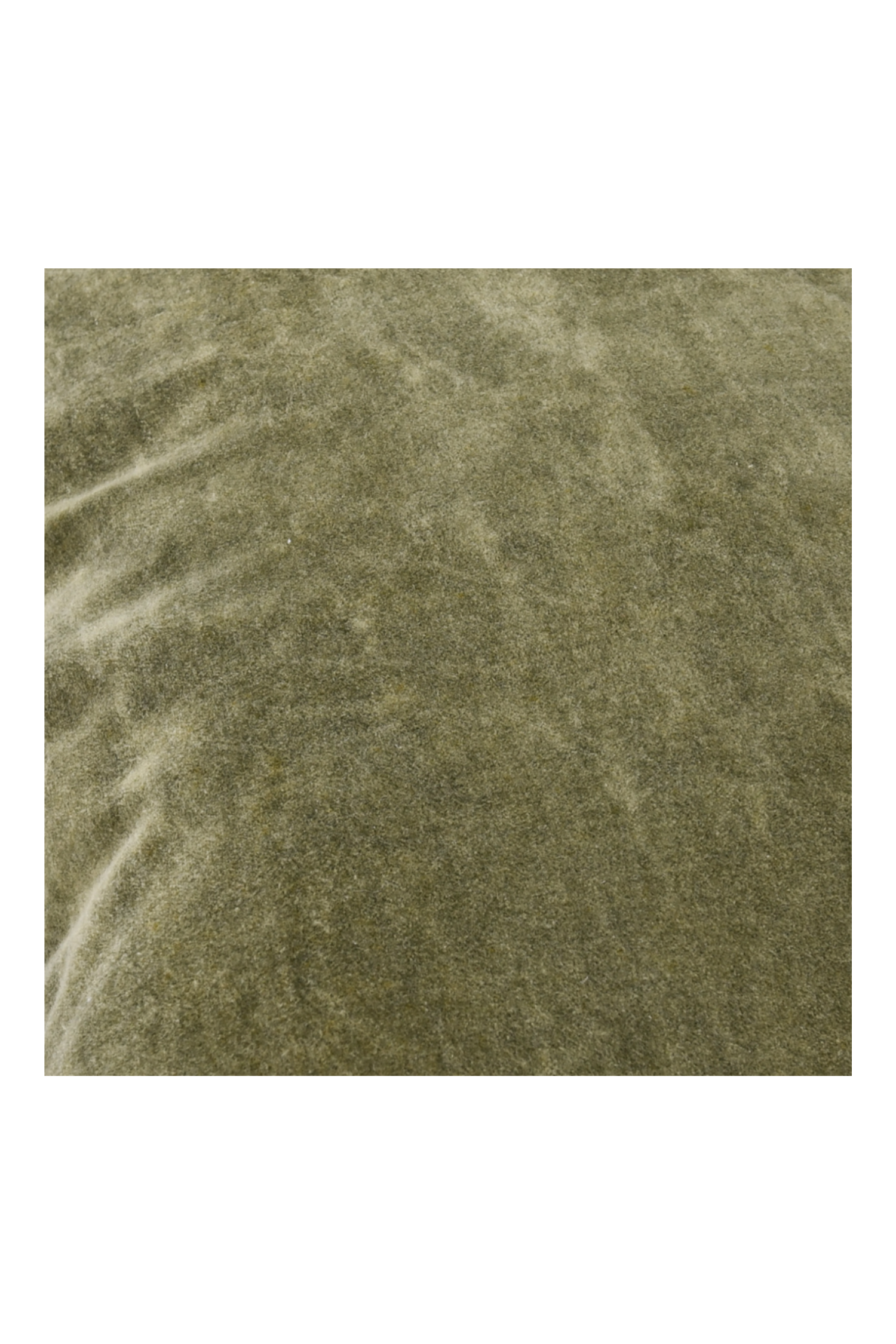 Heirloom Velvet Pillow - Olive - Set of 2