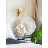 Regina Andrew Dion Sconce - 3 Finishes