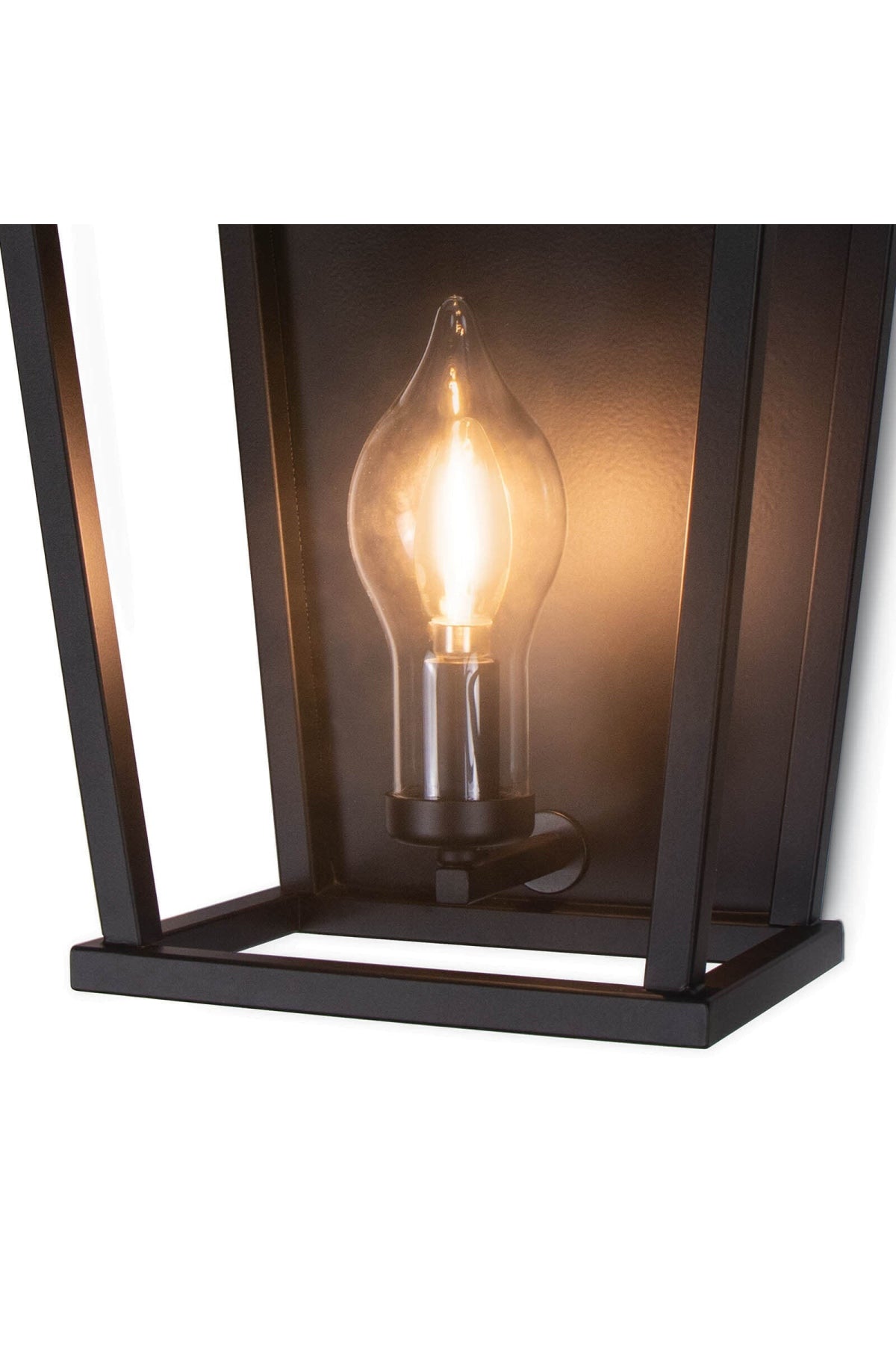 Coastal Living Hampton Outdoor Sconce