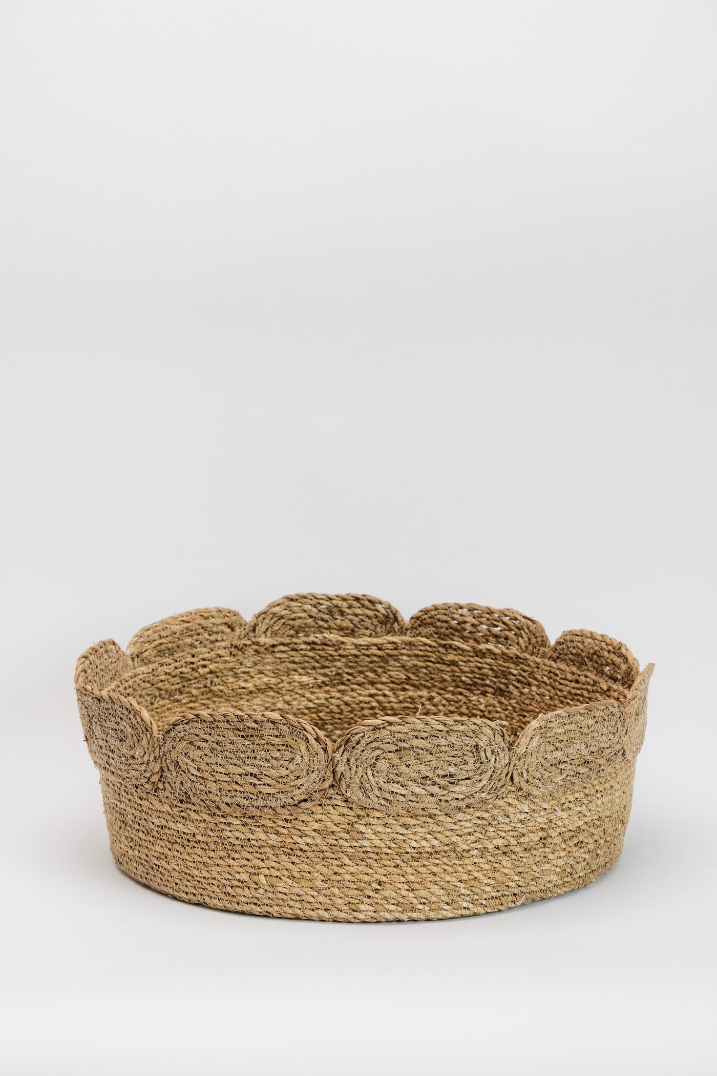 Full Bloom Scallop Basket - 2 Sizes