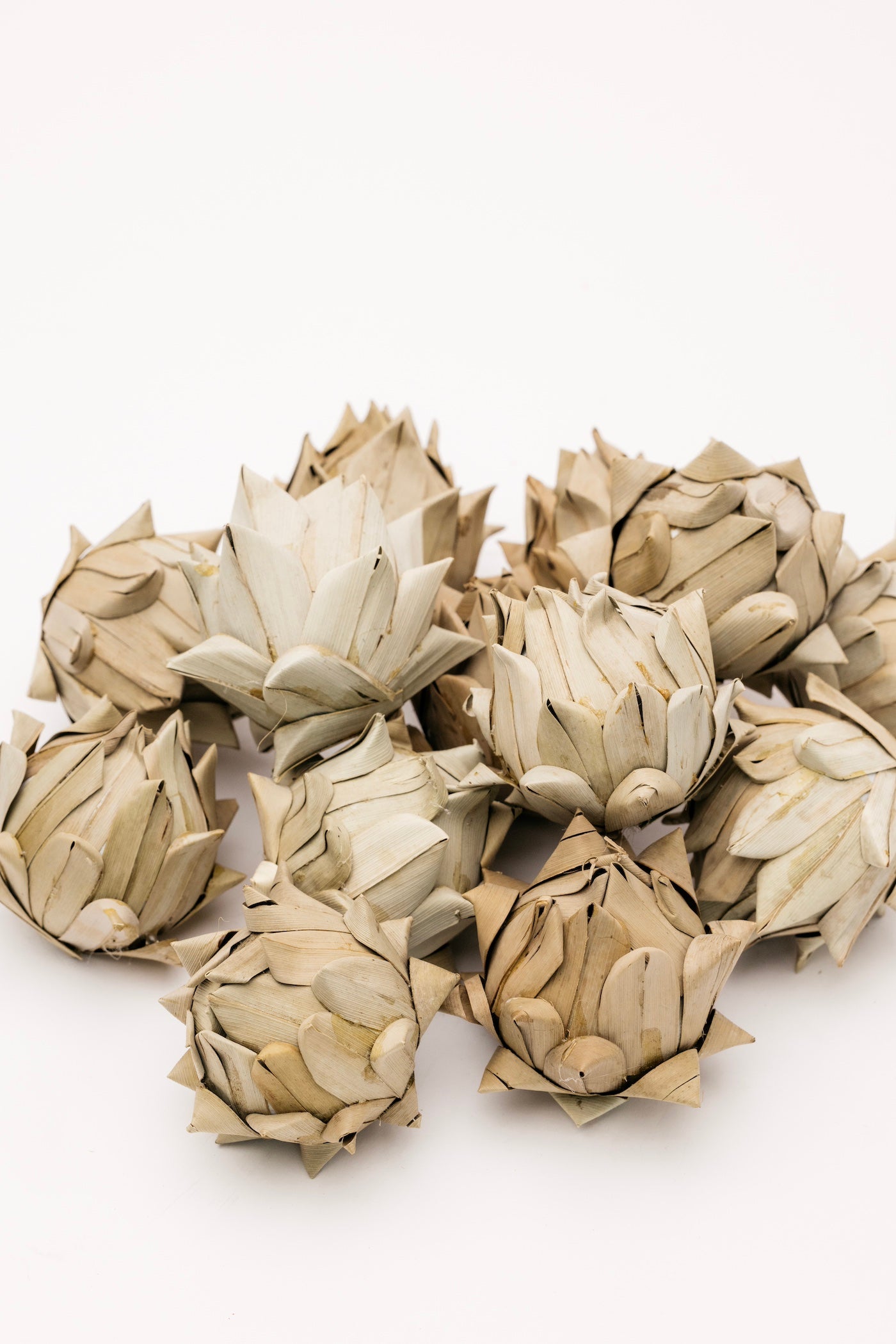 Desert Dried Artichoke Palms