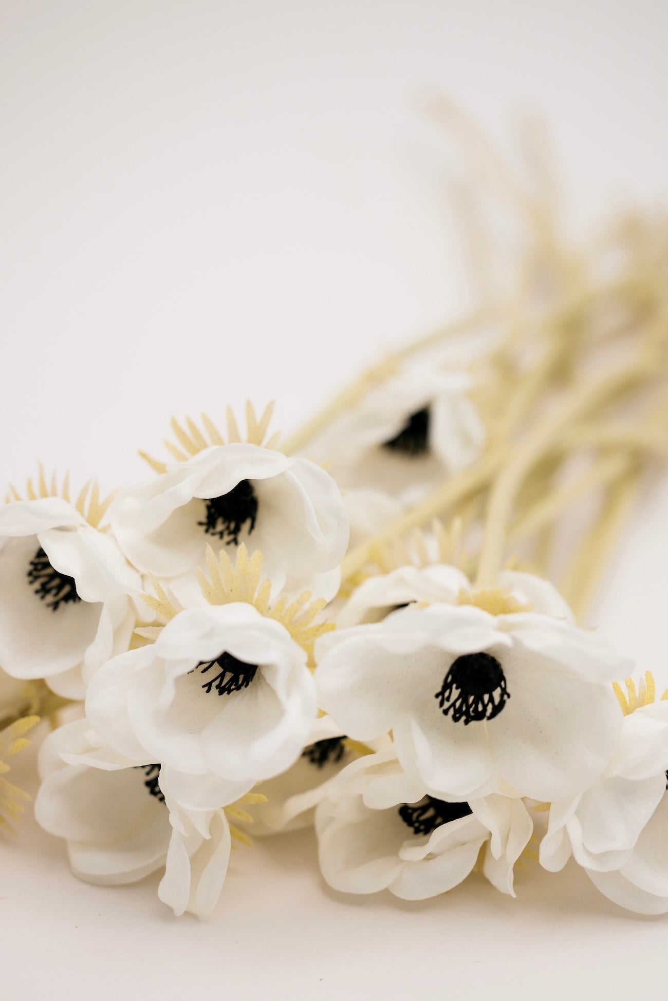 Lettie Anemone Stem - White