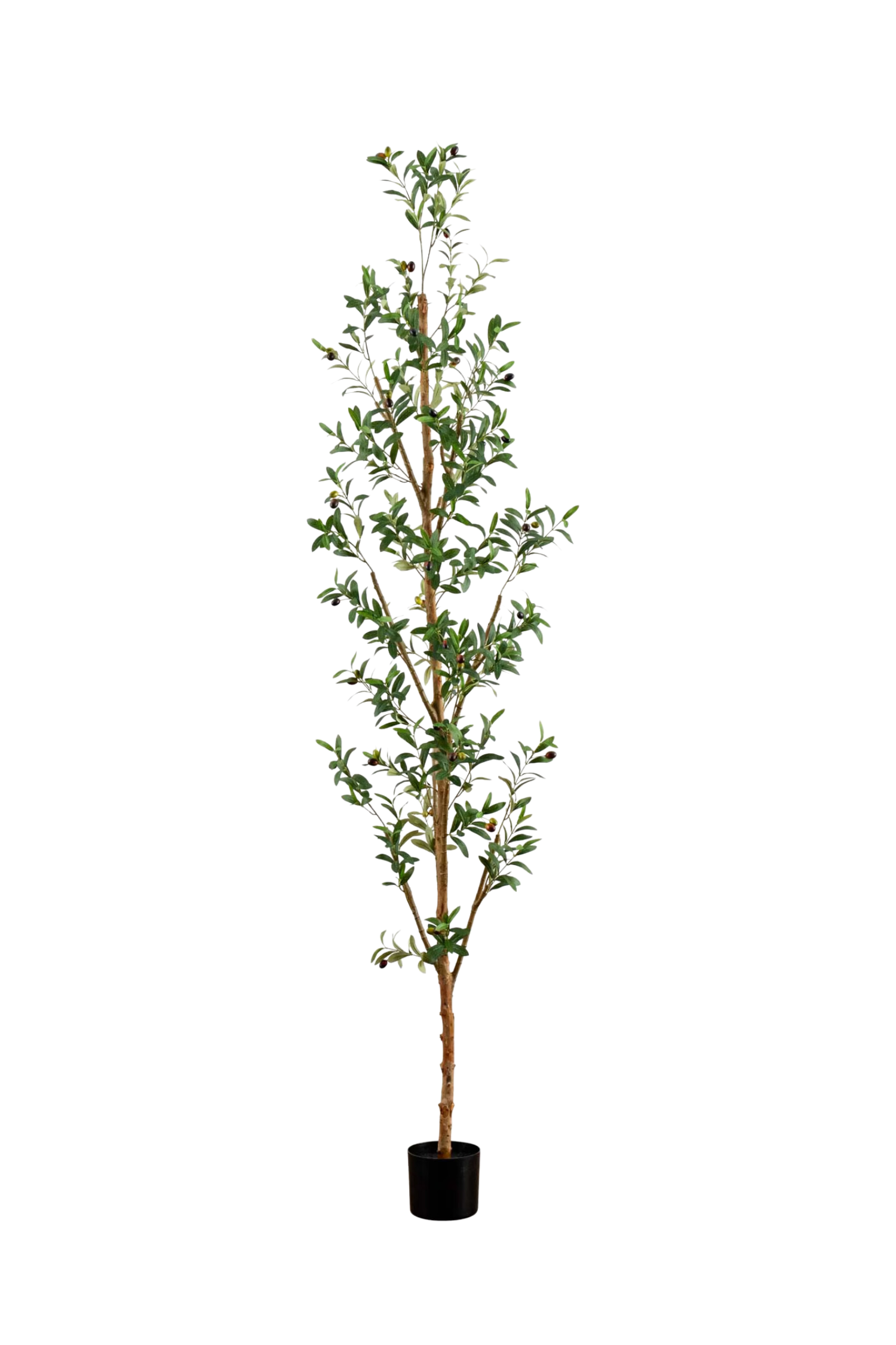 Edgar 8' Artificial Olive Tree