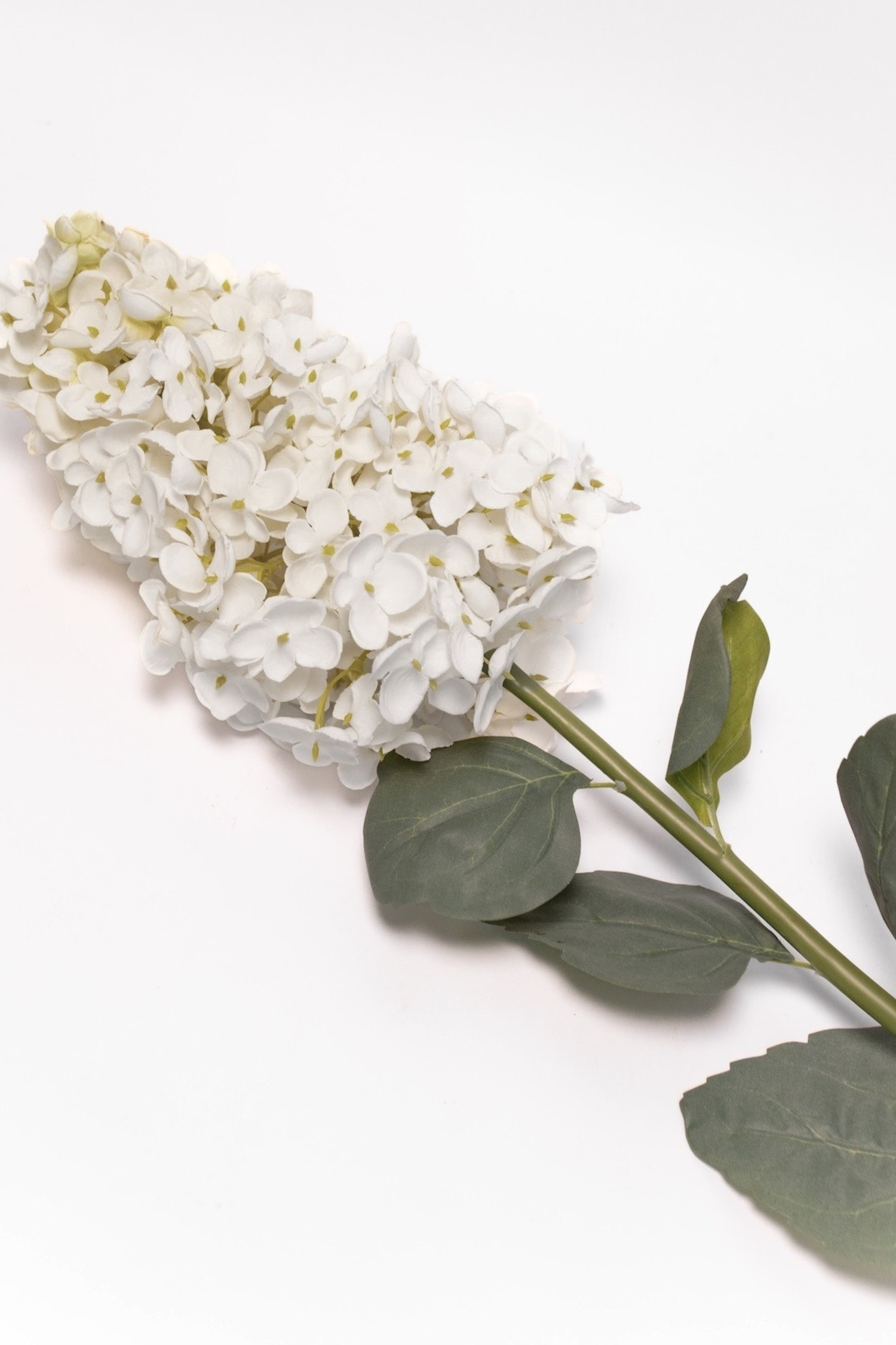 Hydrangea Stem - 37.5