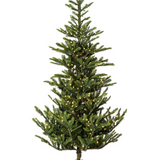 Everglow Artificial Pre-Lit Tree