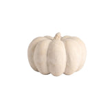 Paper Mache Pumpkin - 2 Sizes