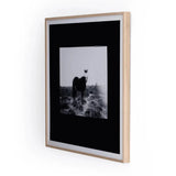 Blank Horse by Annie Spratt