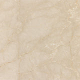 Arum Coffee Table - Cream