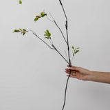 Leafy Stem - 39"