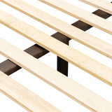 Salado Bed
