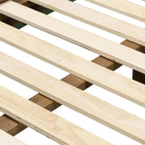 Salado Bed