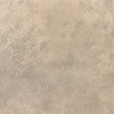 The Clearing by Aileen Fitzgerald