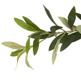 Designer Approved - Faux Olive Tree