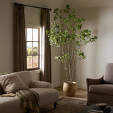 Designer Approved - Faux Pieris Tree - 2 Sizes