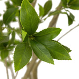 Designer Approved - Faux Pieris Tree - 2 Sizes