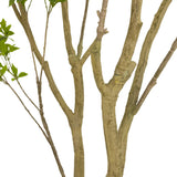 Designer Approved - Faux Pieris Tree - 2 Sizes