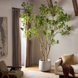 Designer Approved - Faux Pieris Tree - 2 Sizes