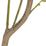 Designer Approved - Faux Eucalyptus Tree