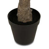 Designer Approved - Faux Olive Tree Wide