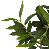Designer Approved - Faux Olive Tree Wide