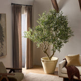 Designer Approved - Faux Olive Tree Wide