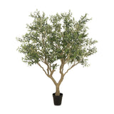 Designer Approved - Faux Olive Tree Wide