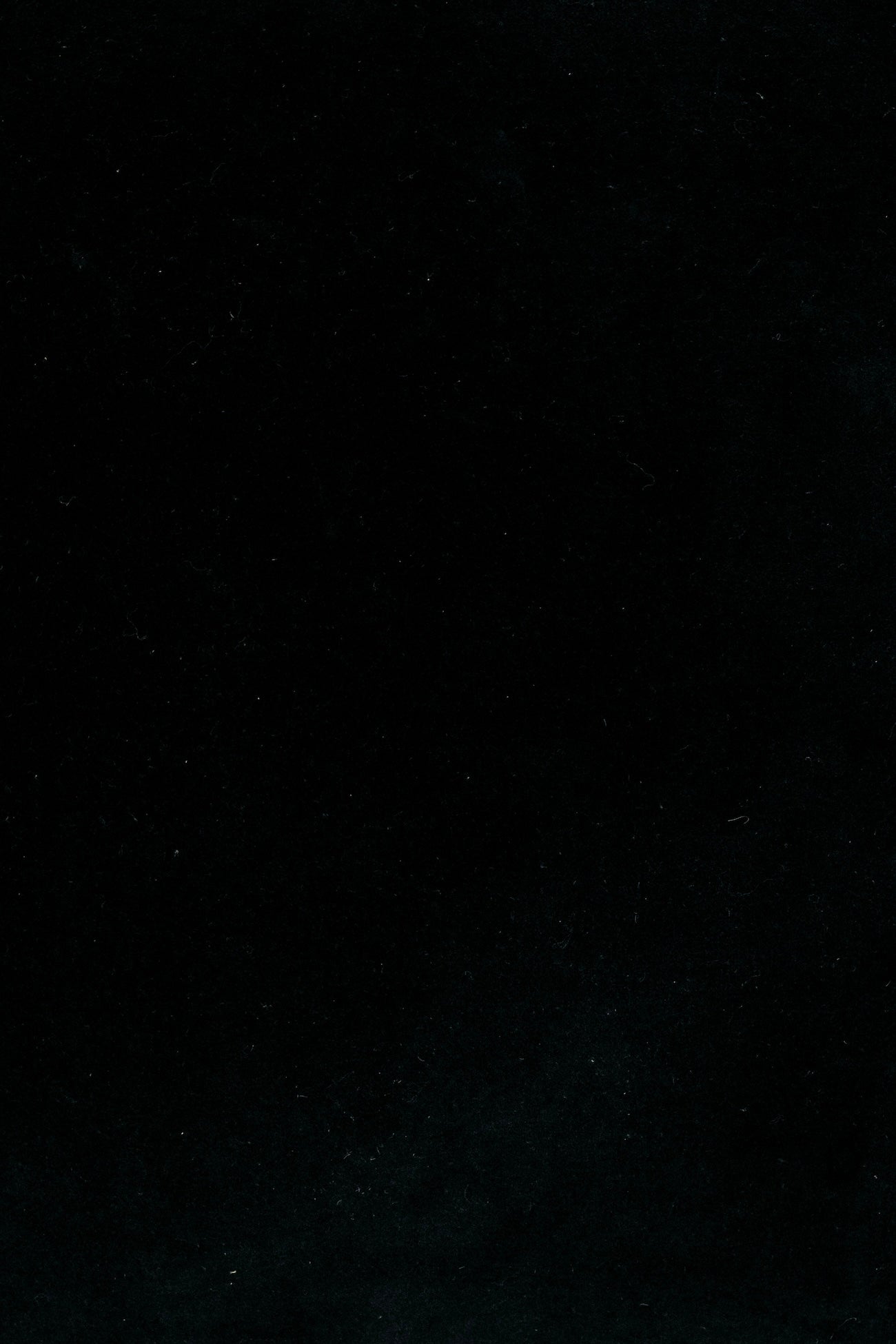 Pomona Scallop Pillow - Black - 22