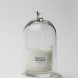 Lux Cloche w/ Marble Base