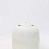 Holmes Ceramic Canister - Set of 2