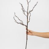 Carla Coffee Branch - 36"