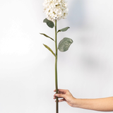 Hydrangea Stem - 37.5"