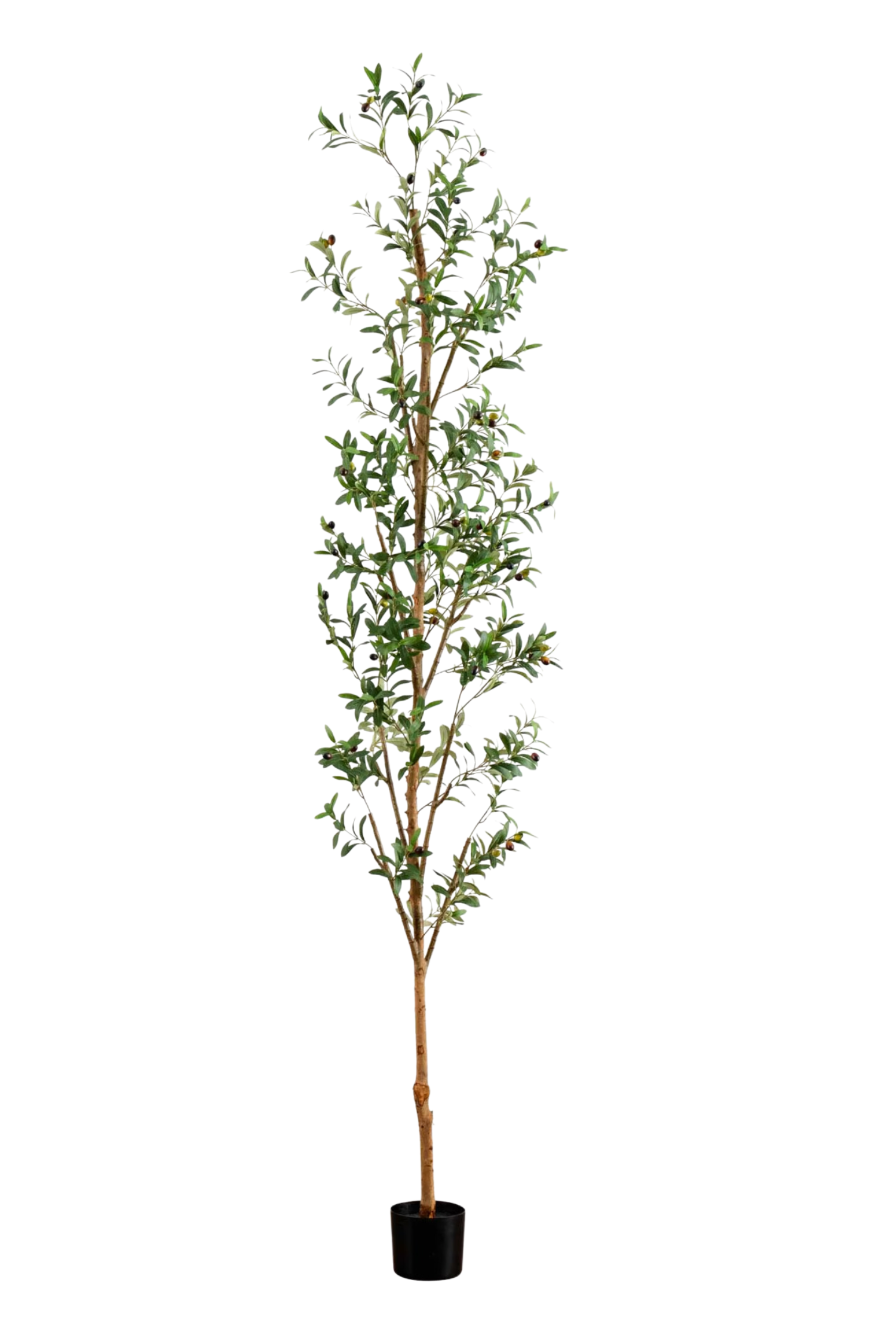 Casper 9' Artificial Olive Tree