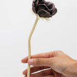 Lettie Anemone Stem - Brown