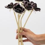 Lettie Anemone Stem - Brown