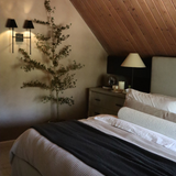 Faux Black Potted Olive Tree - 7'