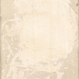 Whispers on Parchment