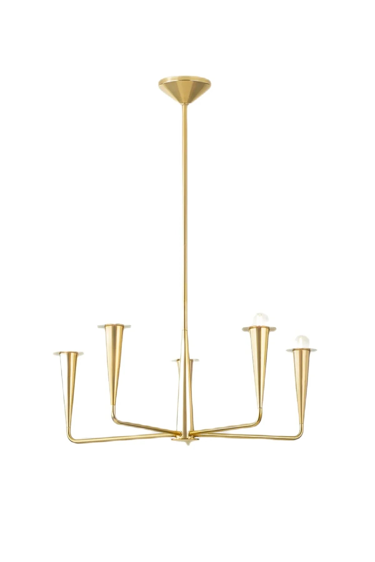 Danna 5-Light Chandelier - 2 Finishes