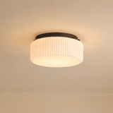 Edgemont Ceiling Light