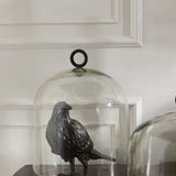 Hazy Cloche