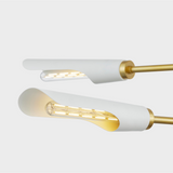 Harper Rose Chandelier