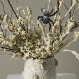 House Spider Pot