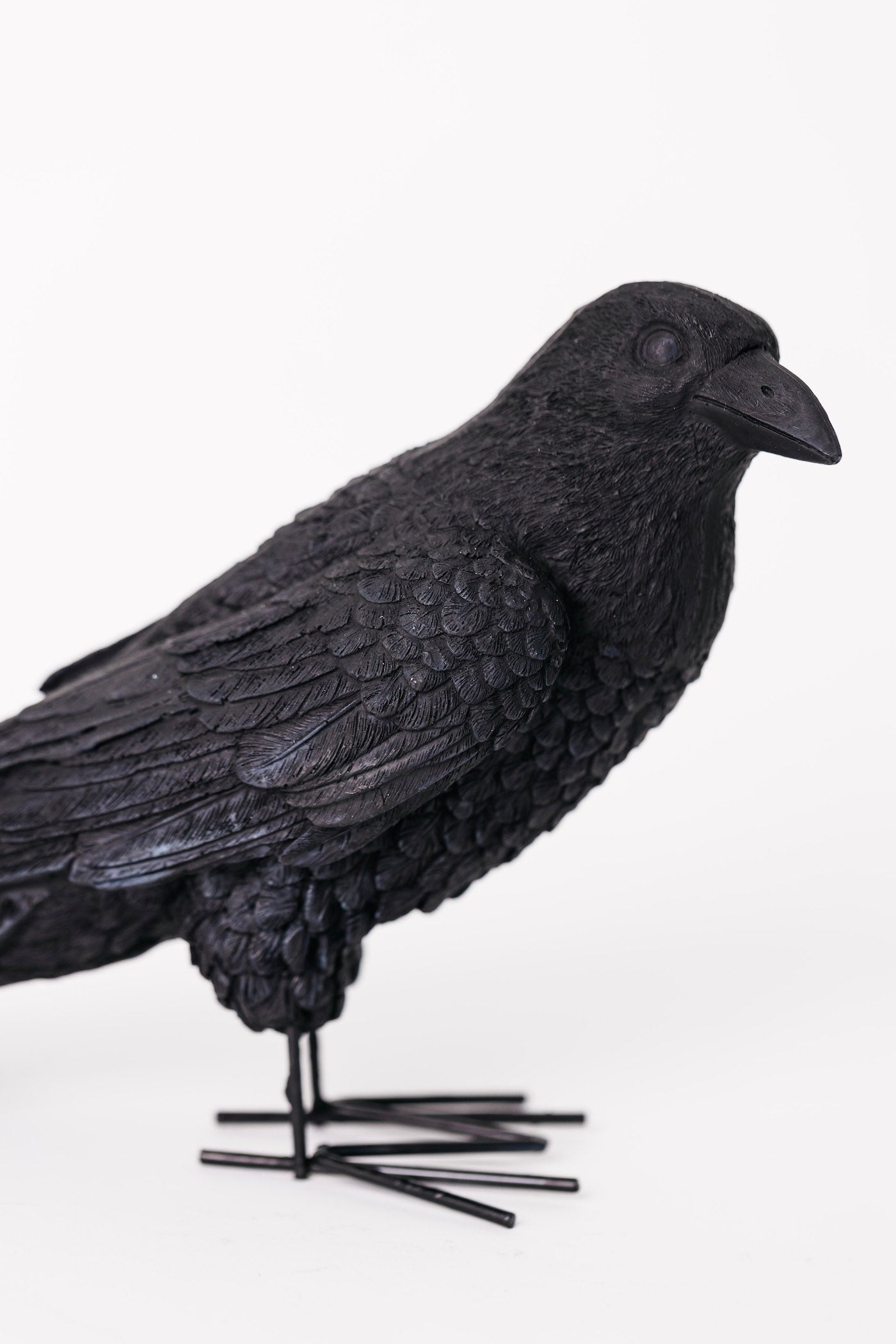 Salem Crow