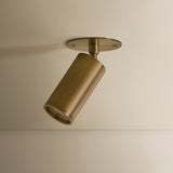 Caleb Flush Mount