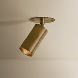 Caleb Flush Mount